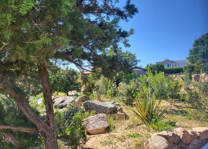 Kemping Rondinara 4*